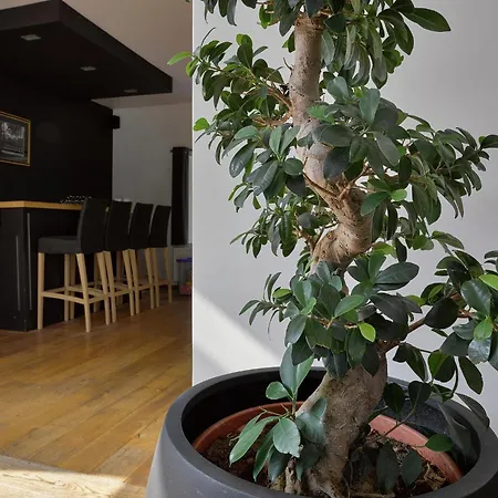 Casa de Férias In Near Thermal Baths Spa